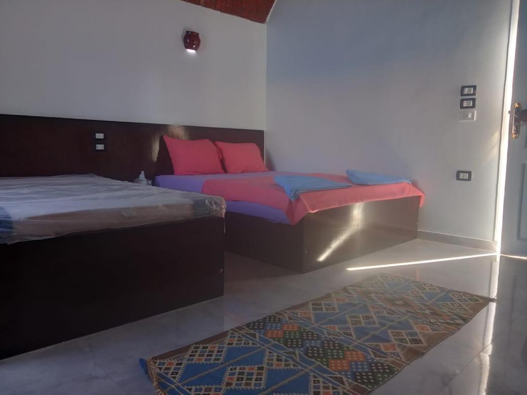 Kafana Guest House Nile View Aswan Luaran gambar